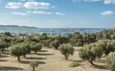 OMIBREED e la ricerca italiana sulla Xylella sulla stampa specializzata